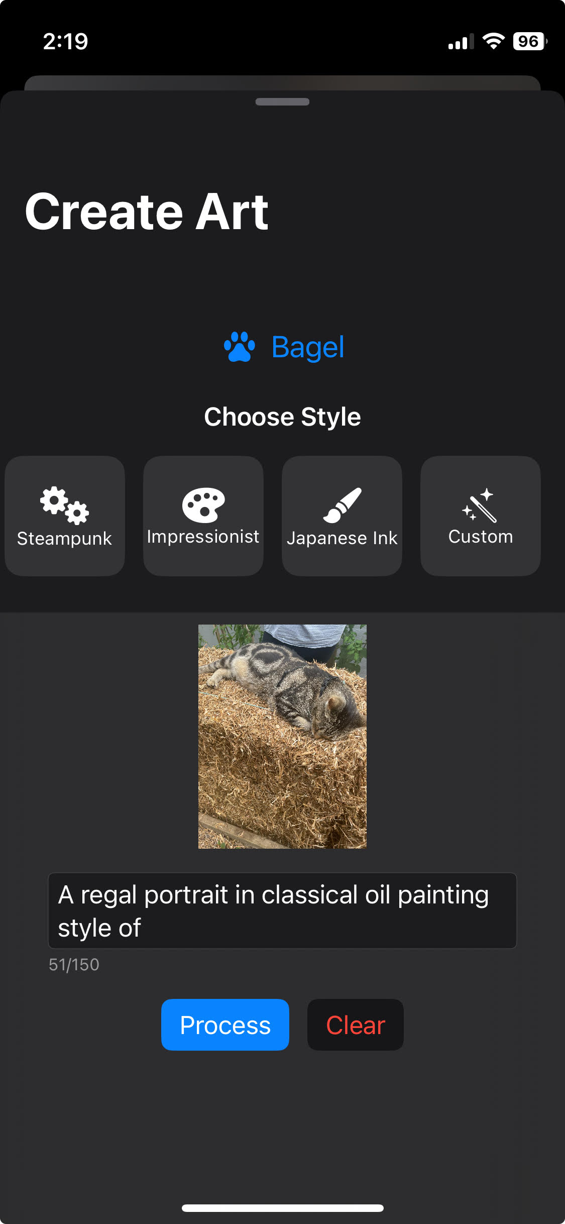 Portrait Style Selection