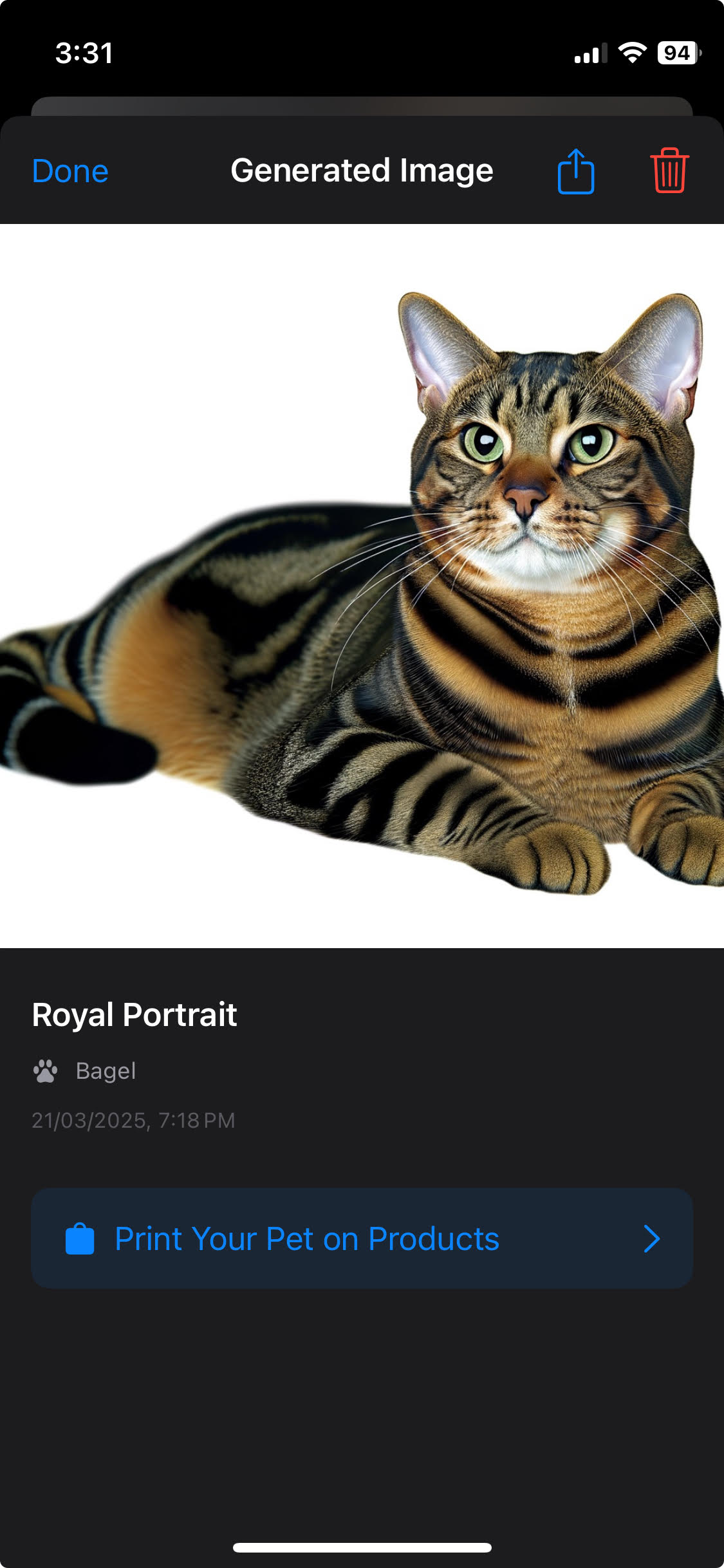 Portrait Customization